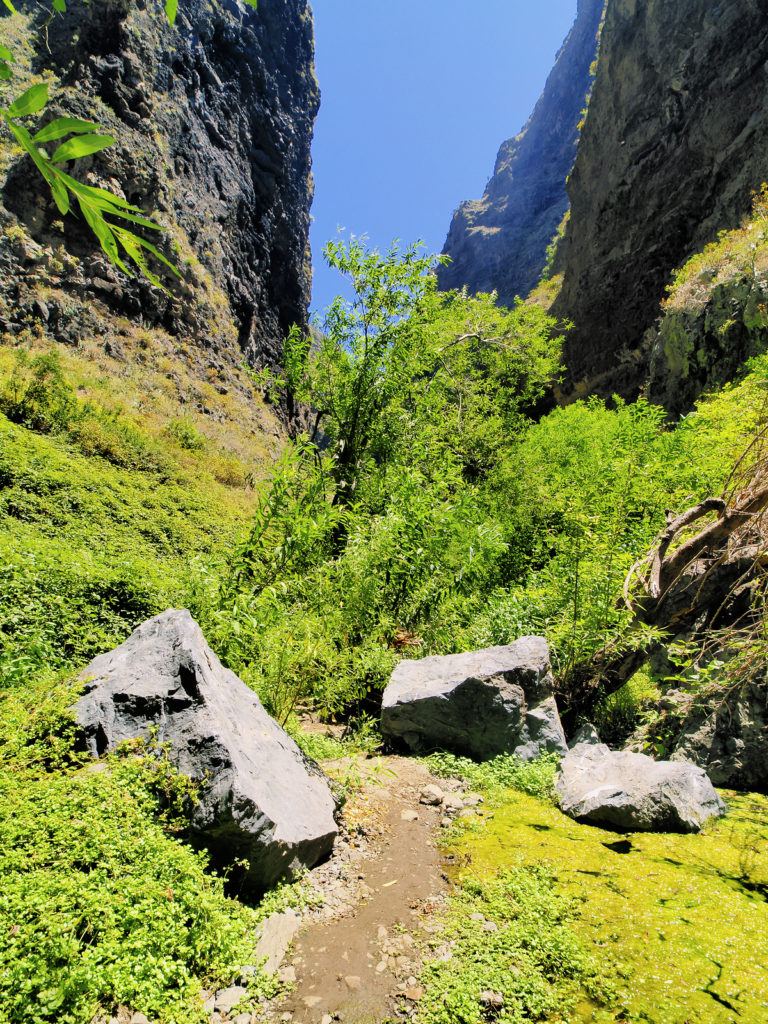 Hell's Gorge On Tenerife